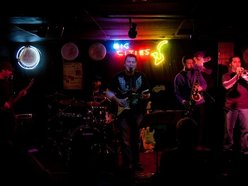 Image for WHALEBONE
