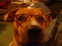 american outlaw band