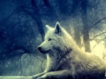 The Wolf Pack ( Jose E. Bermudez Mangual)