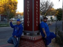 BorderTownLokoz