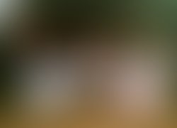 1336502543 the rubens hi res 1