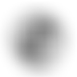 Image1