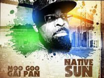 MOO GOO GAI PAN
