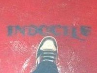 Indocile