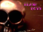 Image for The Flash Boys