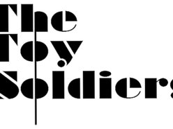 Image for The Toy Soldiers