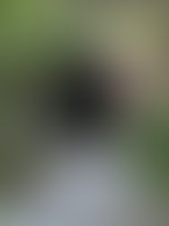 Artist 2601957 1440172706