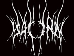 Image for Willow