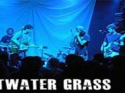 Image for Saltwater Grass