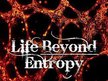 Life Beyond Entropy