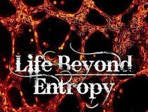 Life Beyond Entropy