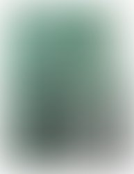 1425577581 3 17 15 flyer