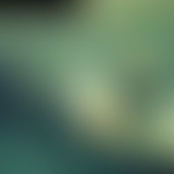 Artist 2611675 1501199810