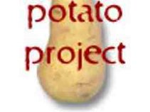 potato project