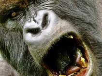 Silverback MG
