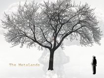 The MetaLands