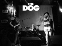 The Dog