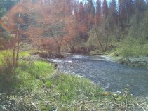 Random Acts of Kindness