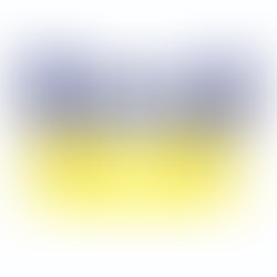 275508860 716819629730574 319537927283087333 n