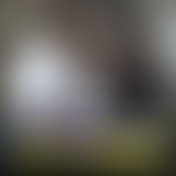 16425728 1204410976280118 5421833410303395160 n