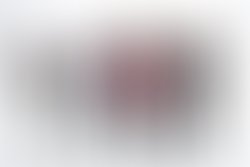 The beast press2 web