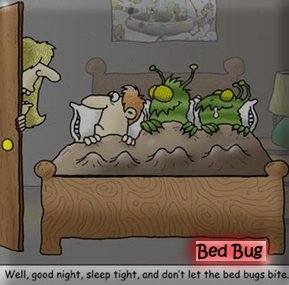 ReverbNation profile picture for @bedbug