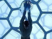 Klubi i notit Vlora not sport