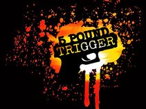 5 Pound Trigger