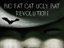 Big Fat Cat Ugly Bat