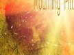 MOURNING PILL