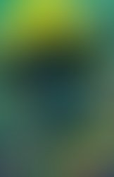 1362774900 anthesis poster lg