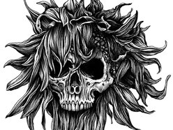 Image for Sunflower Dead