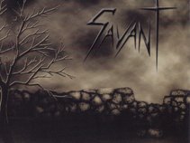 Savant