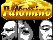 Palomino