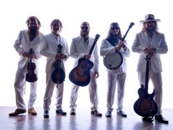 Image for Songs From The Road Band