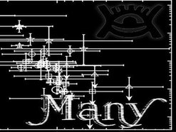 Image for The many