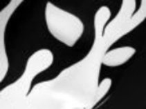 ANONeMOUS