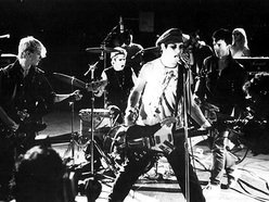 Image for SOCIAL DISTORTION