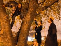 The Snake Oil Salesmen