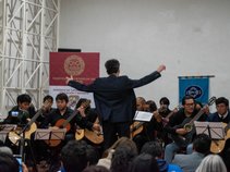 Mauricio OPAZO MUÑOZ