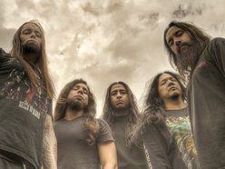Image for Disgorge
