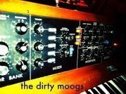 Image for The dirty moogs