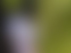 C1a42051 7ed3 4d1a 84d1 db48b196854e