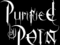 Purified By Pain