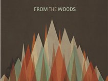 From the Woods