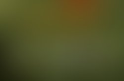 1339354598 tommybluebandlogo