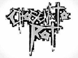 Image for Chosen To Rot