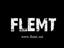 Flemt