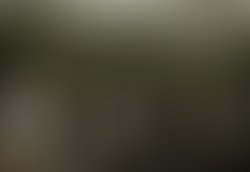 1359251835 sports leisure press 01