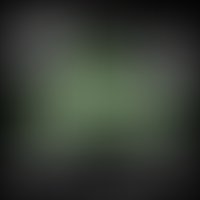 115828941804707 1339738953